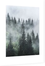 Misty Forest - Foto op Dibond - 60 x 80 cm