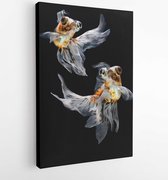 Canvas schilderij - Goldfish isolated on black background -   115607263 - 115*75 Vertical