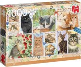 legpuzzel Cat Stamps 1000 stukjes