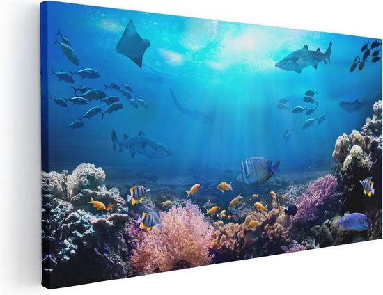 Artaza Canvas Schilderij Vissen met Haaien in de Oceaan met Koraalrif - 40x20 - Klein - Foto Op Canvas - Canvas Print