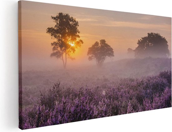 Artaza Canvas Schilderij Weide in de Veluwe bij Zonsondergang - 120x60 cm - Groot - Wanddecoratie Woonkamer - Schilderijen - Muurdecoratie
