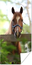 Poster Paard - Natuur - Hek - 20x40 cm