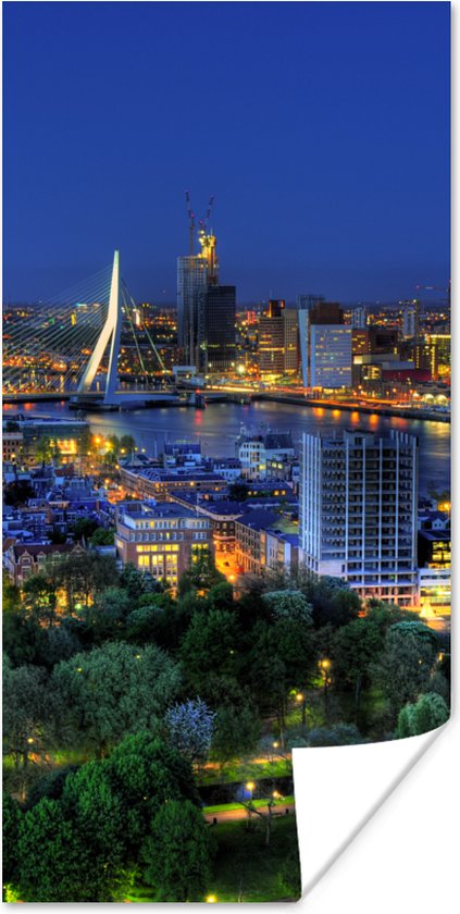 Affiche Rotterdam - Pays- Nederland - Skyline - 20x40 cm