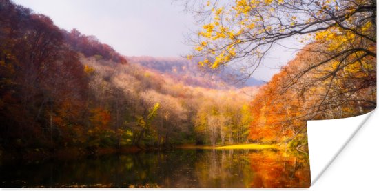 Poster Natuur - Bos - Herfst - 80x40 cm