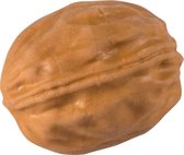 gum Walnoot 4 x 3 cm junior bruin