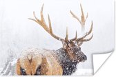 Affiche Cerf enneigé en hiver - 180x120 cm XXL