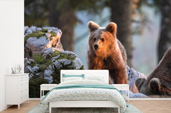 Papier peint - Papier peint Papier peint photo Ours - Marron - Animal - Largeur 420 cm x hauteur 280 cm