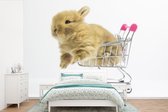 Behang - Fotobehang Konijn - Baby - Wit - Breedte 390 cm x hoogte 260 cm