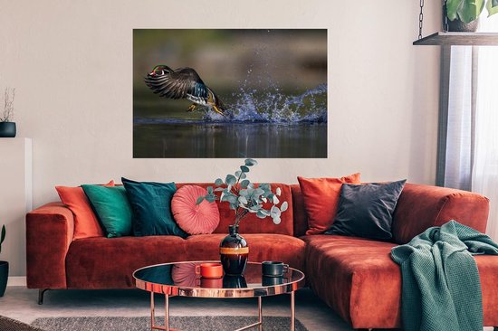 Affiche Canard - Water - Ressorts - 120x80 cm