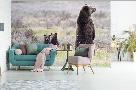 Papier peint vinyle - Un grizzli regarde autour de lui pour protéger les bébés largeur 330 cm x hauteur 220 cm - Tirage photo sur papier peint (disponible en 7 tailles)