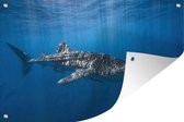 Décoration de jardin Requin baleine au soleil - 60x40 cm - Poster jardin - Toile jardin - Poster extérieur