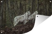 Tuindecoratie Wolf - Bos - Vacht - 60x40 cm - Tuinposter - Tuindoek - Buitenposter