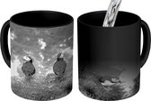 Magische Mok - Foto op Warmte Mok - Puffins kijken uit over de zee - zwart wit - 350 ML