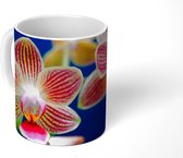 Mok - Tegen Orchid - 350 ML - Beker