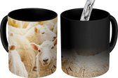 Magische Mok - Foto op Warmte Mok - Schapen - Wol - Wit - 350 ML