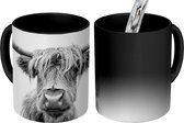 Magische Mok - Foto op Warmte Mokken - Koffiemok - Schotse hooglander - Stier - Dieren - Zwart - Wit - Magic Mok - Beker - 350 ML - Theemok