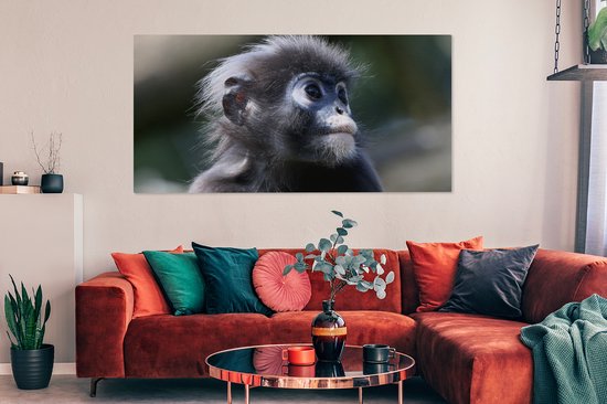 Canvas schilderij 160x80 cm - Wanddecoratie Apen - Dieren - Natuur - Muurdecoratie woonkamer - Slaapkamer decoratie - Kamer accessoires - Schilderijen