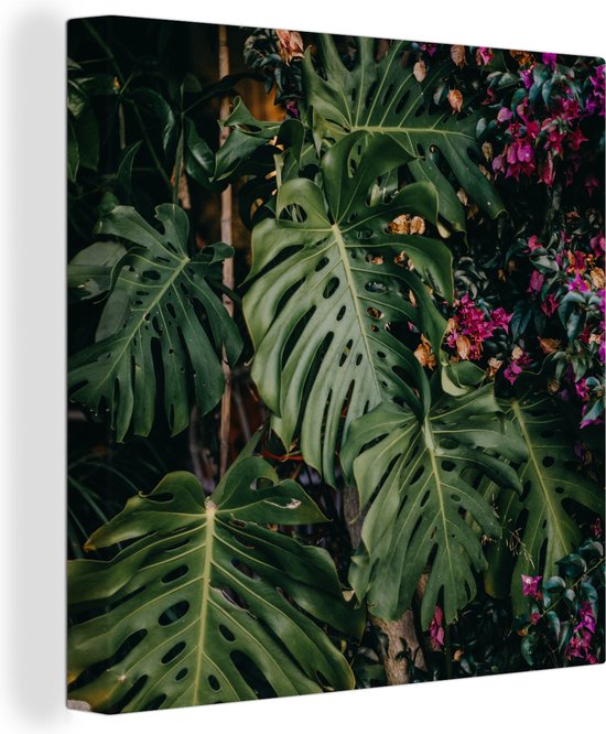 Canvas Schilderij Monstera (gatenplant) achtergrond - 20x20 cm - Wanddecoratie