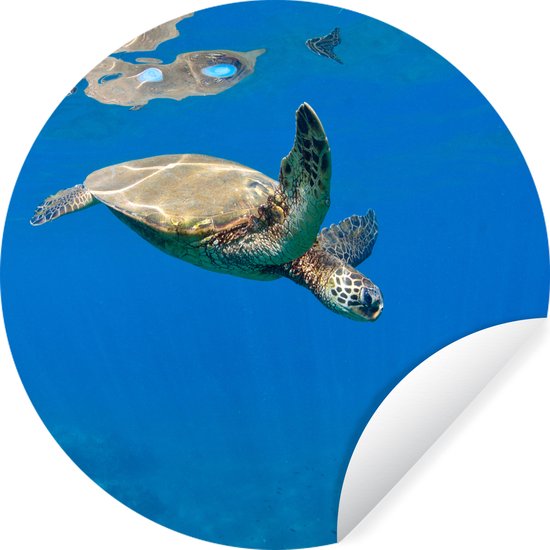 WallCircle - Muurstickers - Behangcirkel - Schildpad zwemmend in oceaan - 100x100 cm - Muurcirkel - Zelfklevend - Ronde Behangsticker XXL