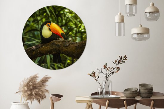 Toucan géant sur une branche Assiette en plastique cercle mural ⌀ 120 cm - impression photo sur cercle mural / cercle vivant (décoration murale) XXL / Groot format!