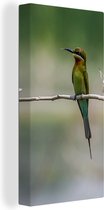 Tableau sur toile Le Guêpier nain est assis sur une branche - 40x80 cm - Décoration murale