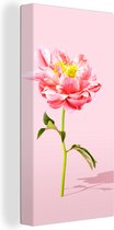 Tableau Toile Pivoine rose sur fond rose - 20x40 cm - Décoration murale