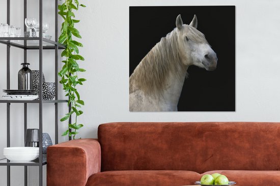 Cheval Wit sur toile fond noir 2cm 90x90 cm - Tirage photo sur toile (Décoration murale salon / chambre) / Peintures sur toile Animaux de la ferme