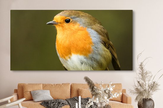 Tableau sur Toile Robin - Branche - Printemps - 160x80 cm - Décoration murale