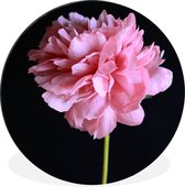 WallCircle - Tableau - Pivoine En Fleur Xxl - Multicolore - 120 X 120 Cm