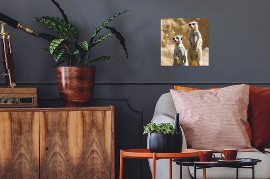 Poster Rock - Suricates - Animaux - 30x30 cm