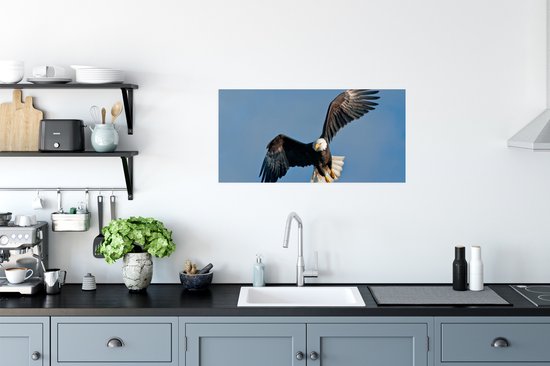 Poster 80x40 cm - Een Amerikaanse zeearend in een blauwe hemel - Posters - Kamer decoratie - Wanddecoratie woonkamer - Muurdecoratie slaapkamer