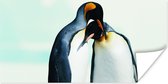 Poster Pinguïns - Sneeuw - Familie - 80x40 cm