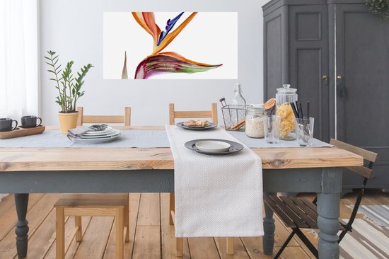 Affiche Strelitzia - Aquarelle - Fleurs - 120x60 cm