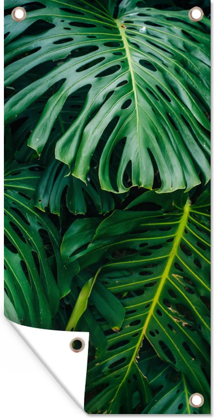 Tuinposter 30x60 cm - Tuindecoratie Donkergroene botanische bladeren in een tuin - Poster voor in de tuin - Buiten decoratie - Schutting tuinschilderij - Tuindoek muurdecoratie - Wanddecoratie balkondoek