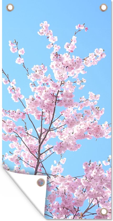 Bloesemboom - Japan - Lente