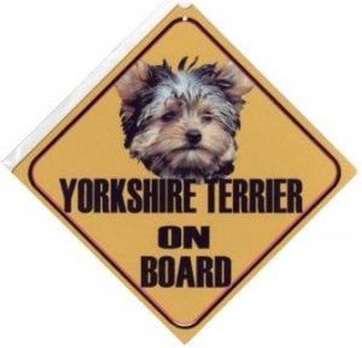 Autobordje Yorkshire Terriër