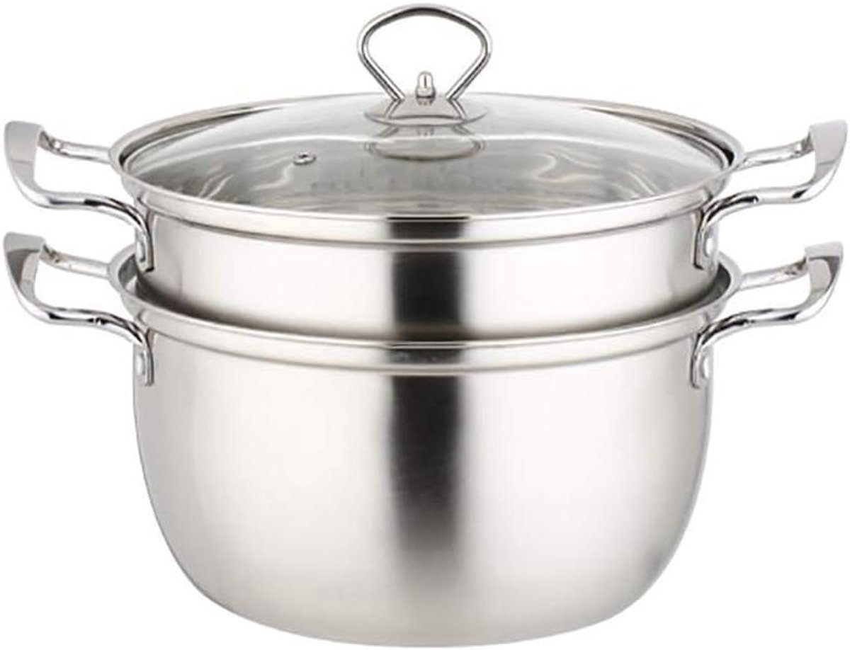 Roestvrijstalen stoompan - Soeppan met deksel - Gezond koken - Ingekapselde bodem - 24 cm - Zilverkleurig