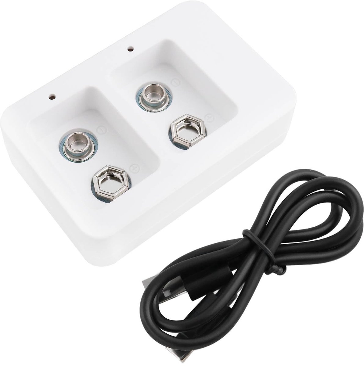 Dailygoods - 9V Batterijlader met Dubbele Sleuf en LED-indicatoren