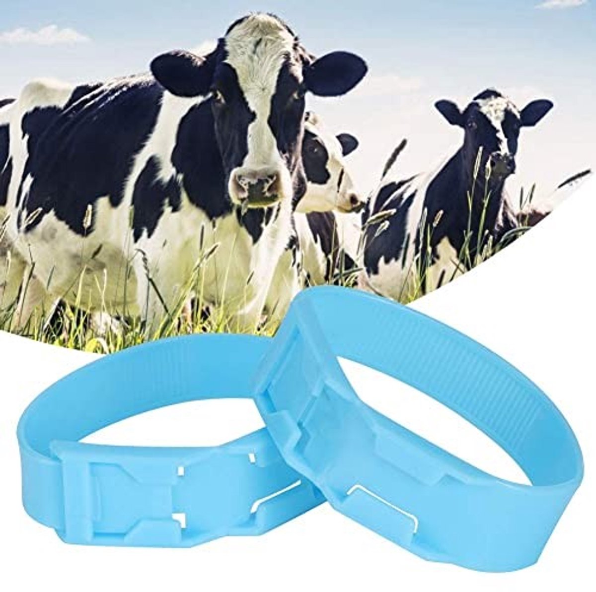 Dailygoods - Dailygoody - Vee-identificatietape - Kunststof Koe-identificatiering - Duurzaam en Betrouwbaar - 10 Stuks - Voor Boerderijen - Ideaal voor Dieridentif