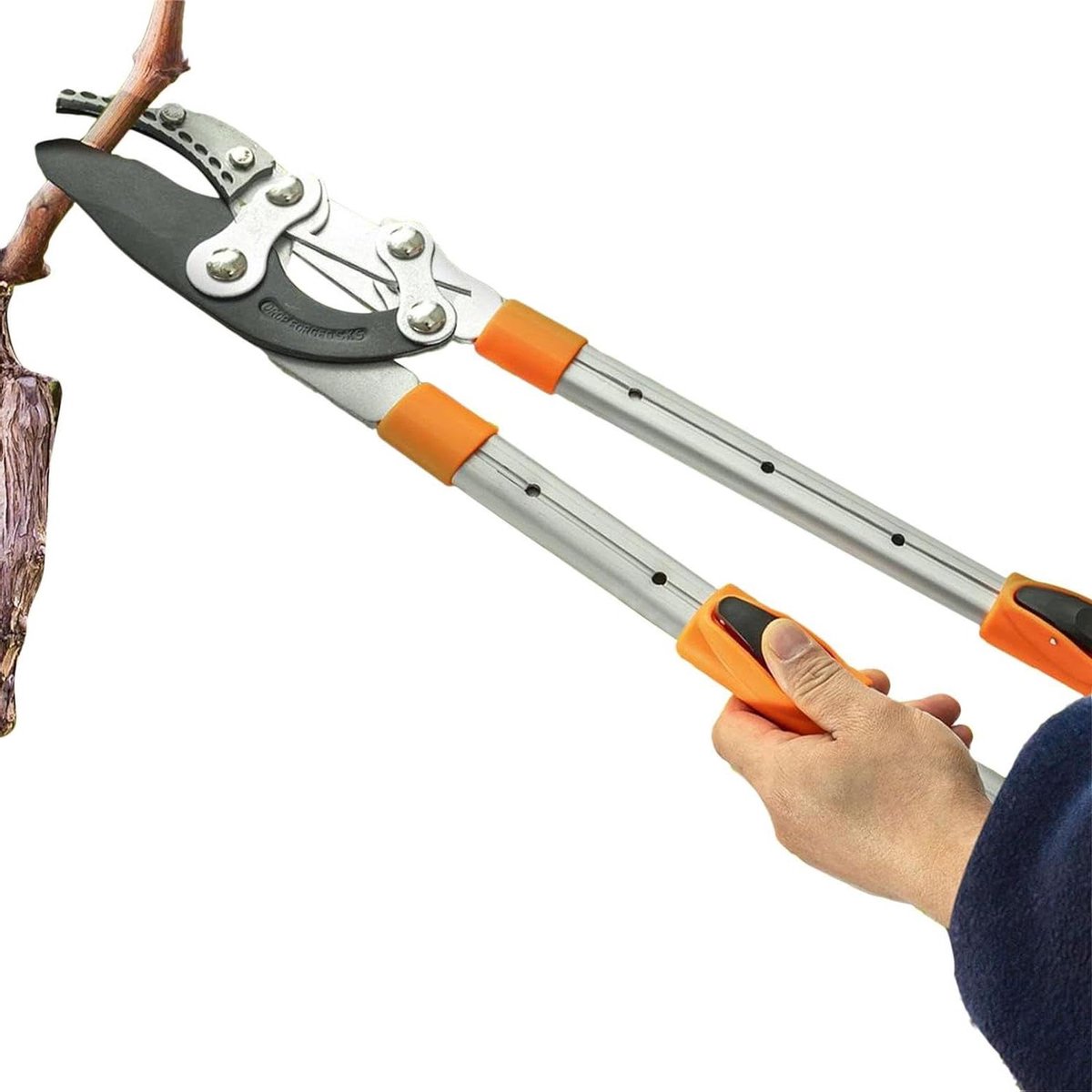 Tuinschaar Telescopisch - Takkenschaar Snoeischaar - Snoeien Struiken Bomen - Uittrekbaar Bereik - 97 cm - Oranje Wit