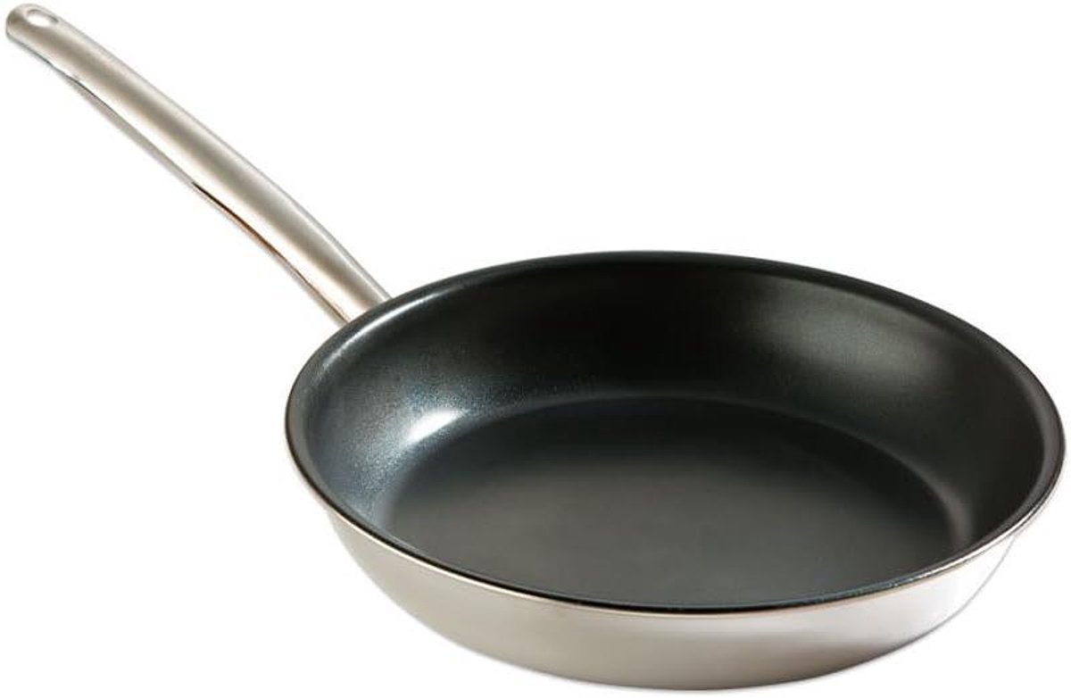 Koekenpan - Koekenpan - Koken - Hercoatbare antiaanbaklaag - 20 cm - Zilver