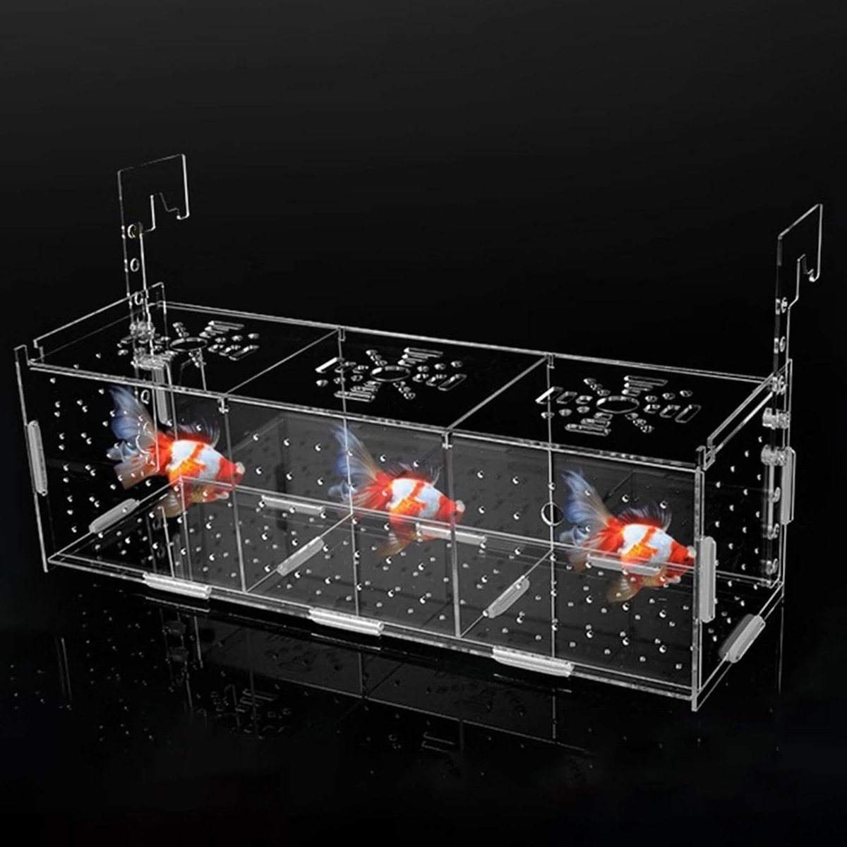 Aquarium Kweekbox - Vis Incubator - Bescherm Jonge Vissen - Transparant Acryl Ontwerp - Drie Vakken - Transparant