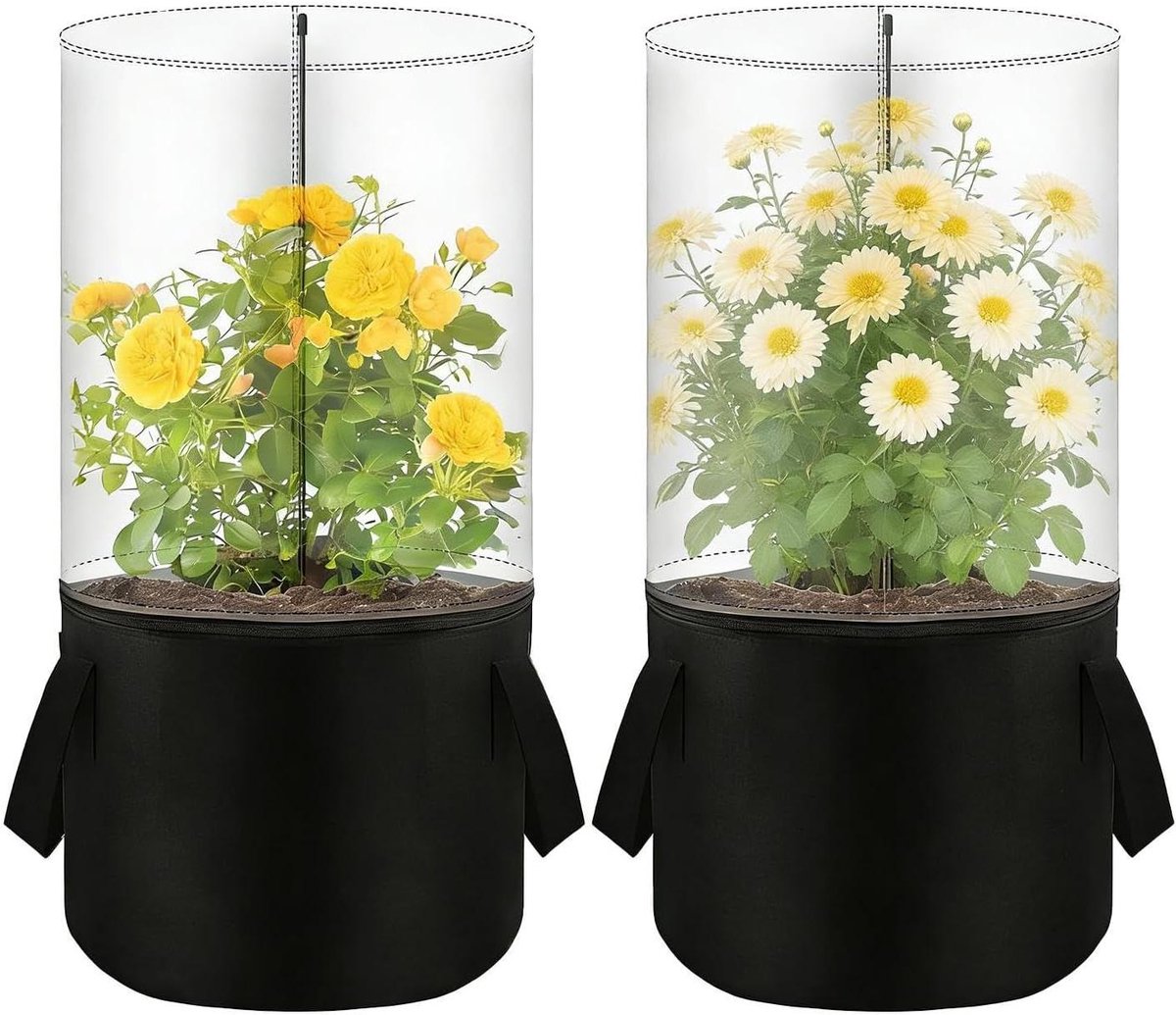 Mini Broeikas - Kweekkas Plantenkas - Planten Beschermen - Geïntegreerd Plantensysteem - 25 x 30 x 4 cm - Niet gespecificeerd