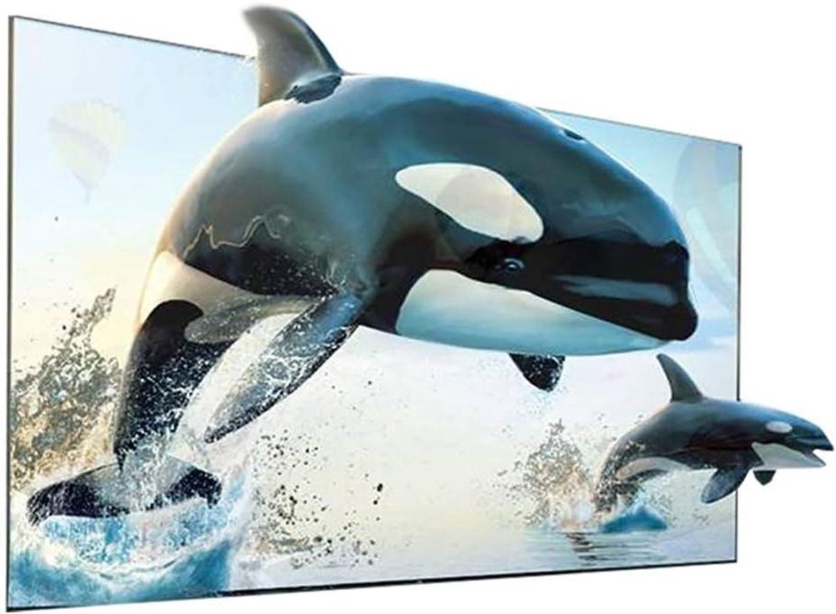 Projectiescherm - ALR-scherm - Thuisbioscoop - Anti-licht technologie - 120 inch - Zwart