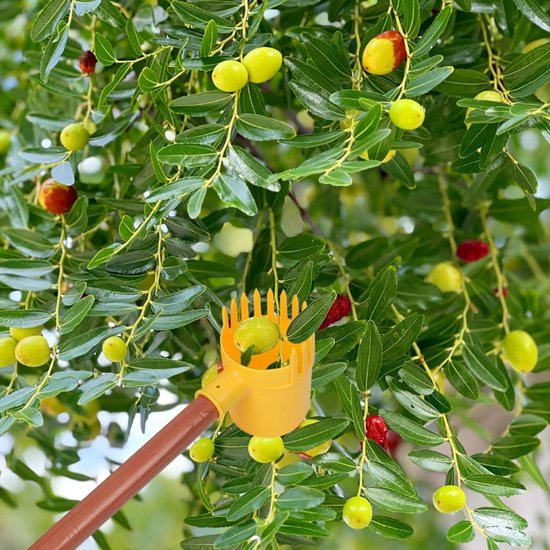 Fruitplukker Gereedschap - Oogststok Klauw - Fruit Oogsten - Beschermt Fruit - 13 x 9 x 9 cm - Oranje — afbeelding 2