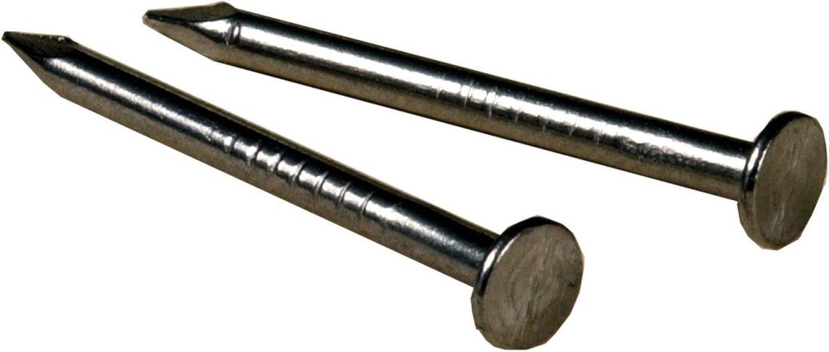 Draadnagels - Bevestigingsmaterialen - Klusjes Binnen - Hoge Kwaliteit Metaal - 10 cm - Metaal