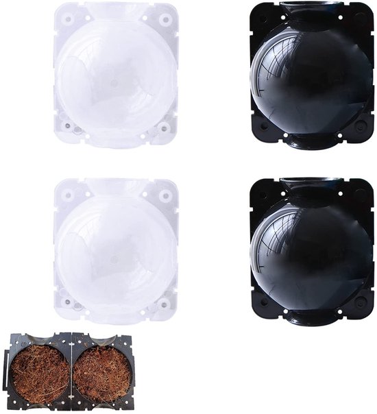 Dailygoody - Plantenwortels Kweekbox - 4 Stuks - Hoogwaardig Anti-Drop Materiaal - Zwart - Plantenvermeerdering - Groeibox voor Binnen en Buiten