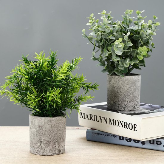 Twee kunstplanten in grijze potten: een groene struik en een eucalyptus plant op boeken.