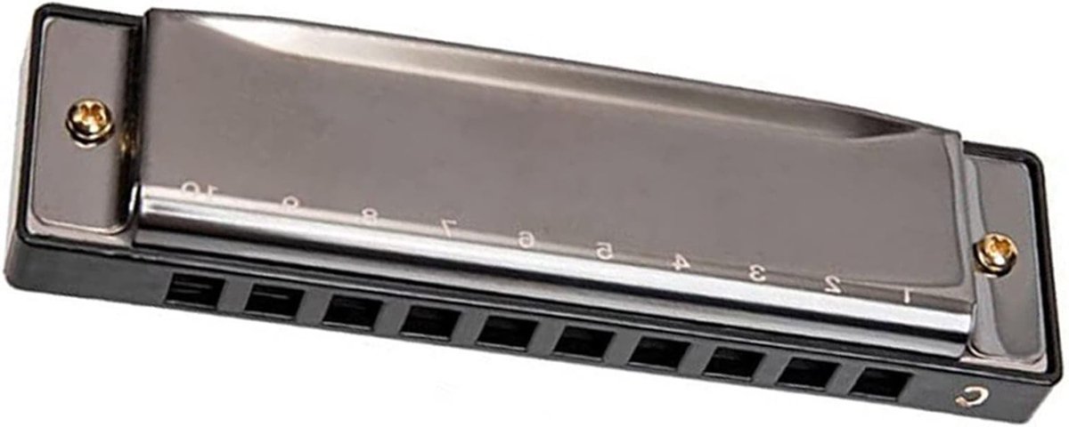 10 Holes C Sleutelharmonica voor Beginners - Draagbaar Mondorgel en Muziekinstrument voor Kinderen en Volwassenen