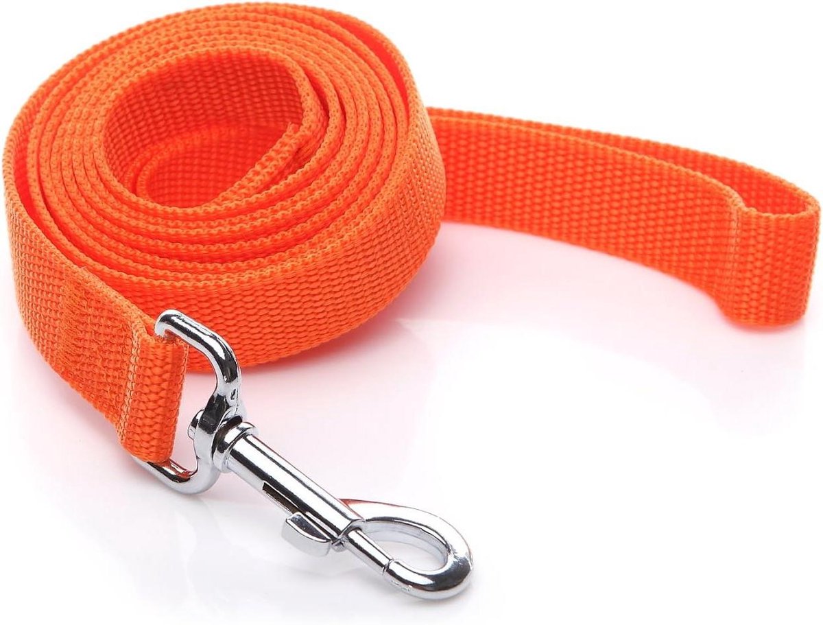 Nylon Hondenriem - Wandelriem Hond - Veilig Wandelen - Duurzaam Nylon Materiaal - 3 meter lang - Oranje